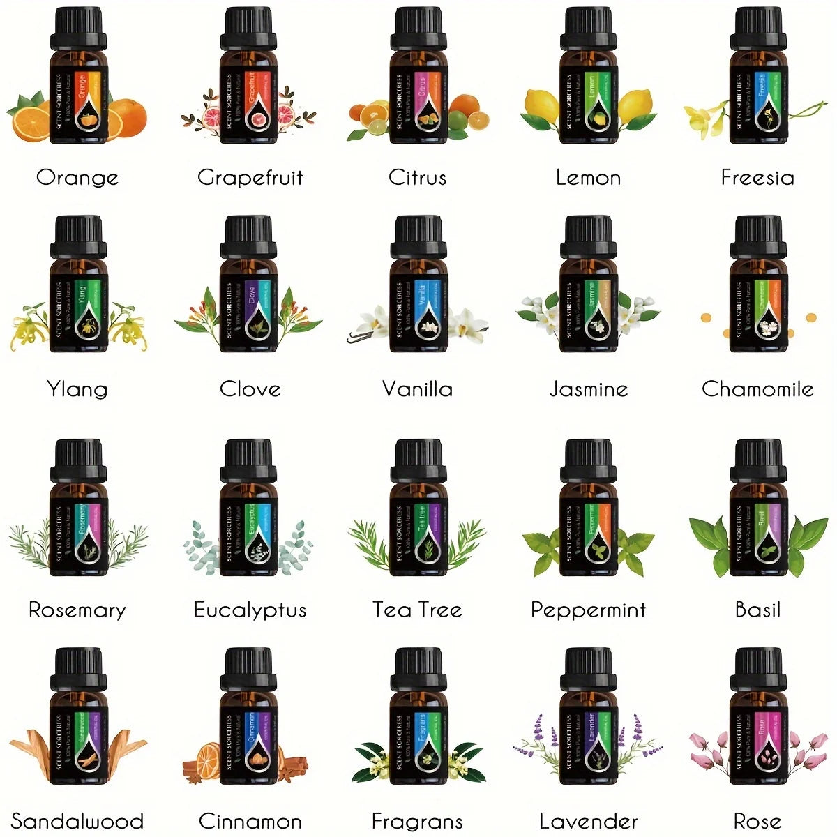 Scent Sorceress Essential Oil Set Lavender Eucalyptus Orange Lemon